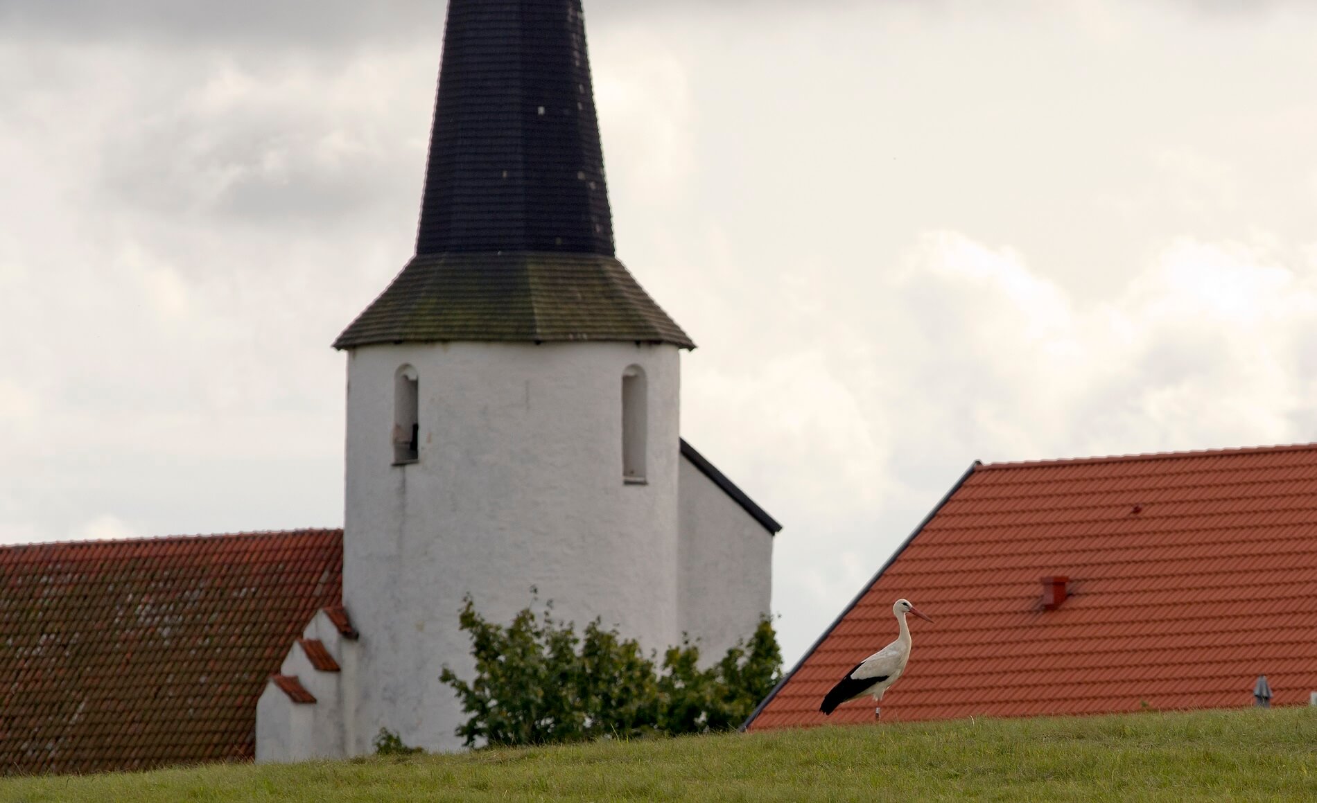 Årsredovisningen i korthet